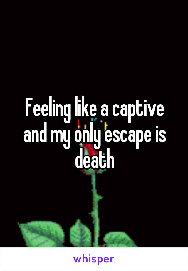 Feeling like a captive and my only escape is death