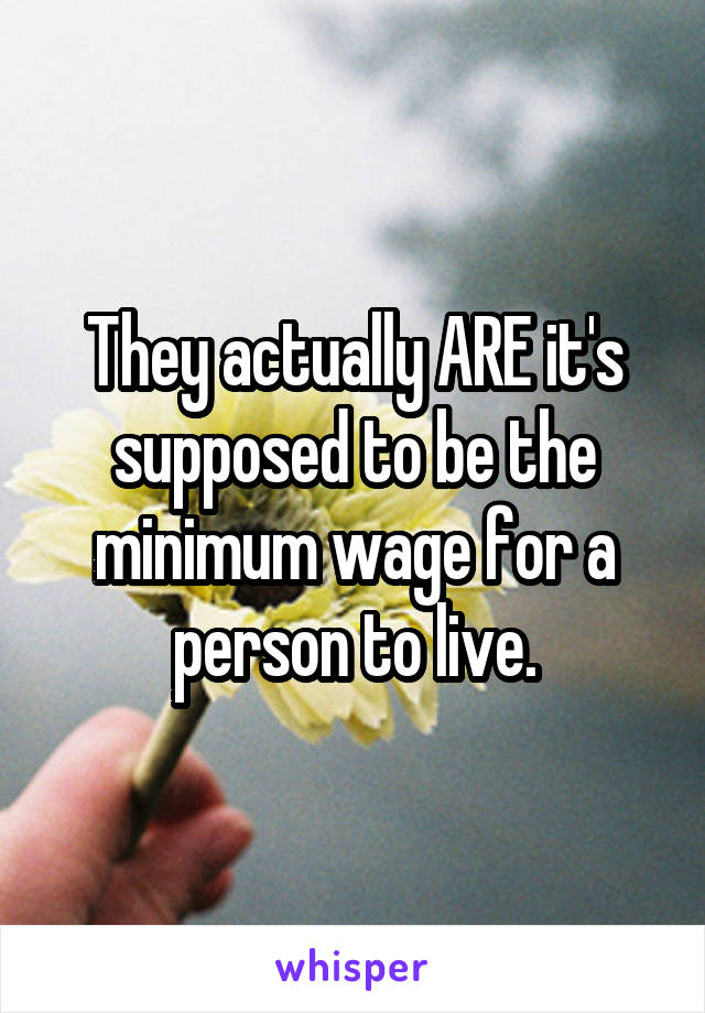 They actually ARE it's supposed to be the minimum wage for a person to live.