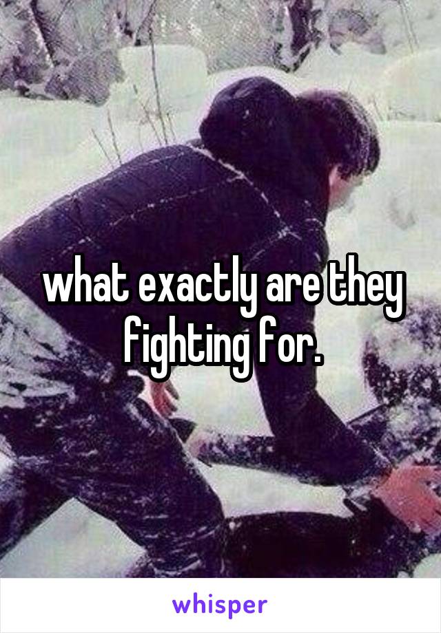 what exactly are they fighting for.