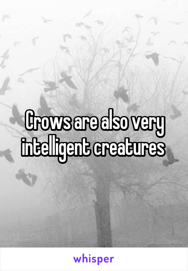 Crows are also very intelligent creatures 