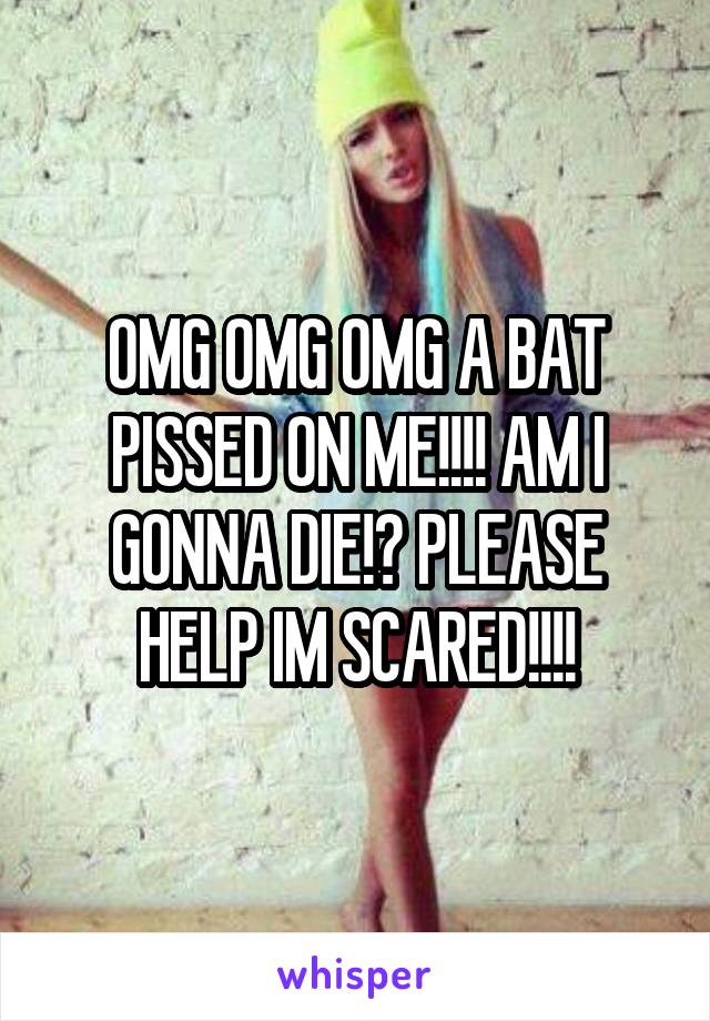 OMG OMG OMG A BAT PISSED ON ME!!!! AM I GONNA DIE!? PLEASE HELP IM SCARED!!!!