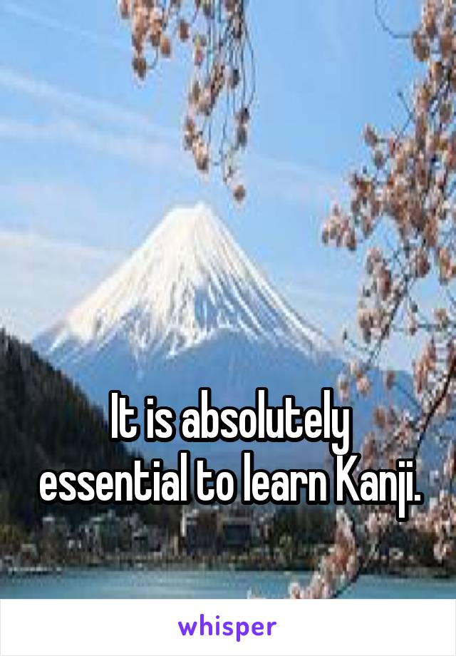 



It is absolutely essential to learn Kanji.