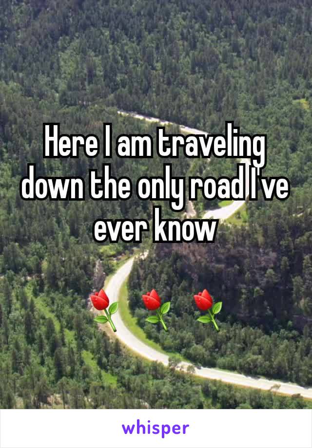 Here I am traveling down the only road I've ever know

⚘⚘⚘