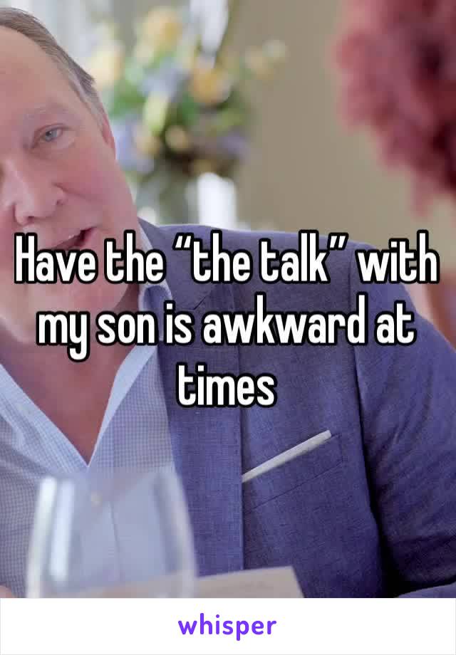 Have the “the talk” with my son is awkward at times