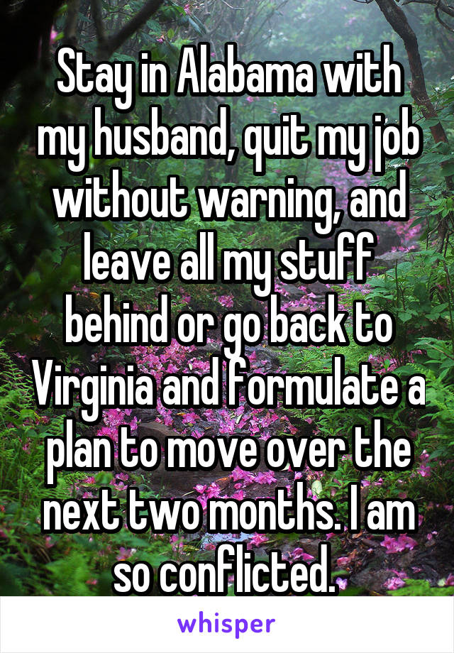 Stay in Alabama with my husband, quit my job without warning, and leave all my stuff behind or go back to Virginia and formulate a plan to move over the next two months. I am so conflicted. 