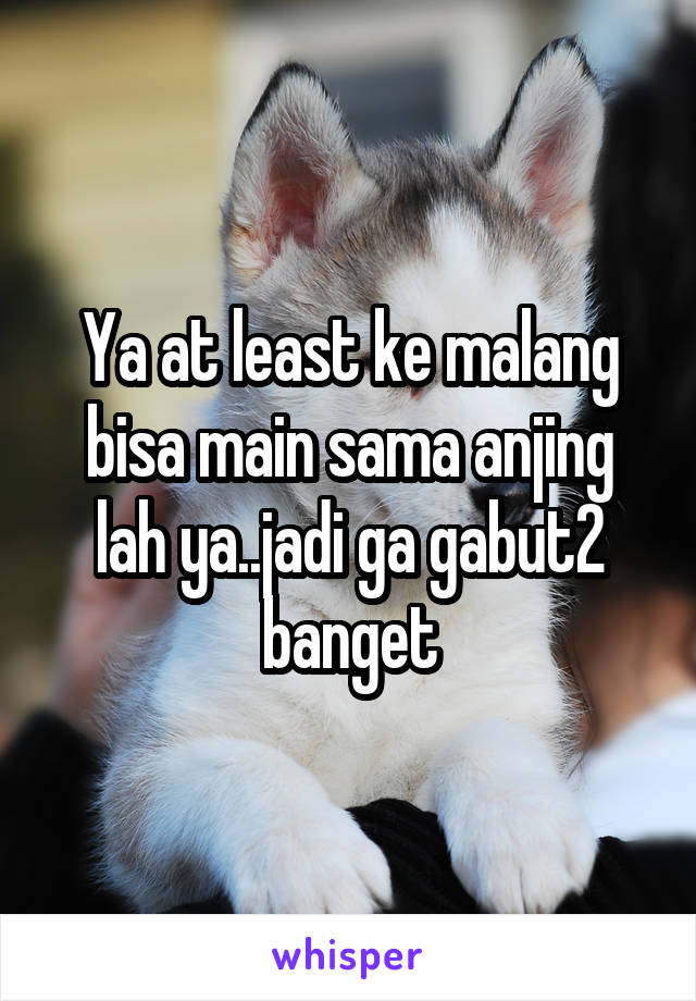 Ya at least ke malang bisa main sama anjing lah ya..jadi ga gabut2 banget