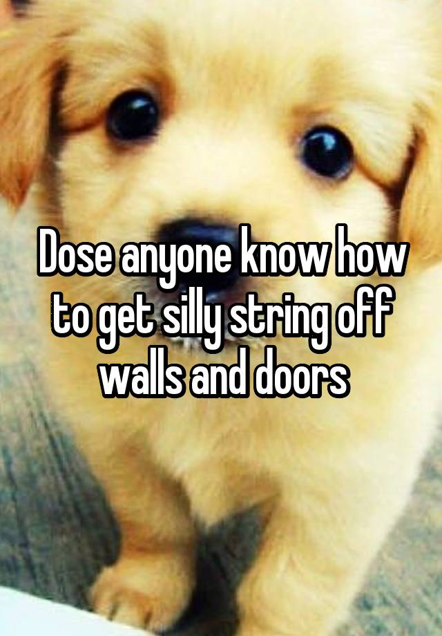 dose-anyone-know-how-to-get-silly-string-off-walls-and-doors