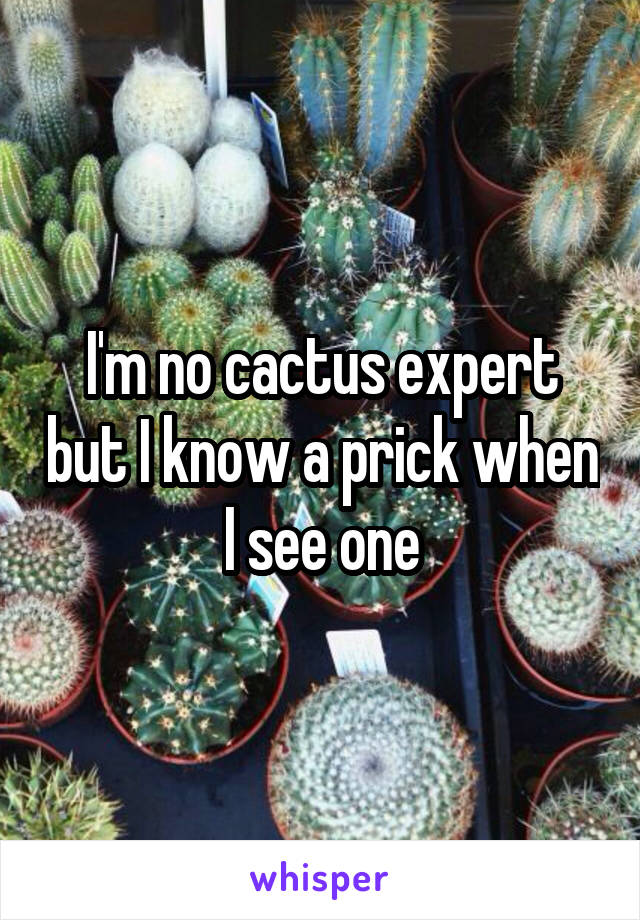 I'm no cactus expert but I know a prick when I see one