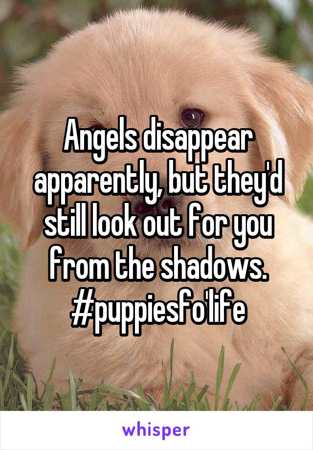 Angels disappear apparently, but they'd still look out for you from the shadows.
#puppiesfo'life