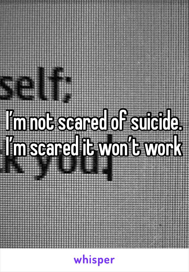 I’m not scared of suicide. I’m scared it won’t work 