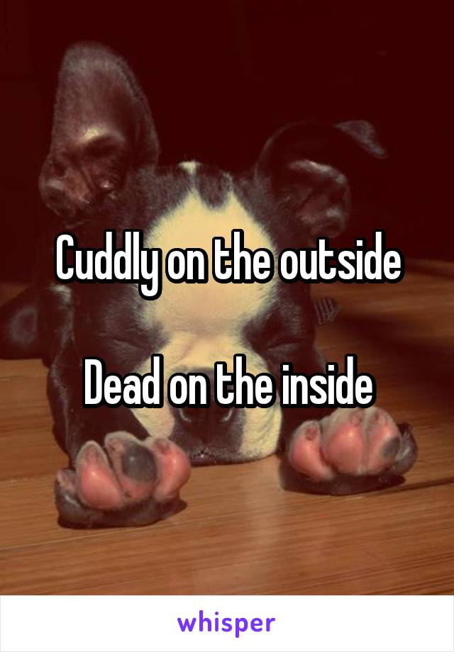 Cuddly on the outside

Dead on the inside