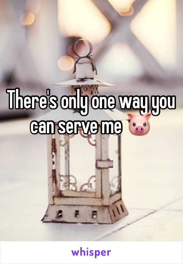 There's only one way you can serve me 🐷