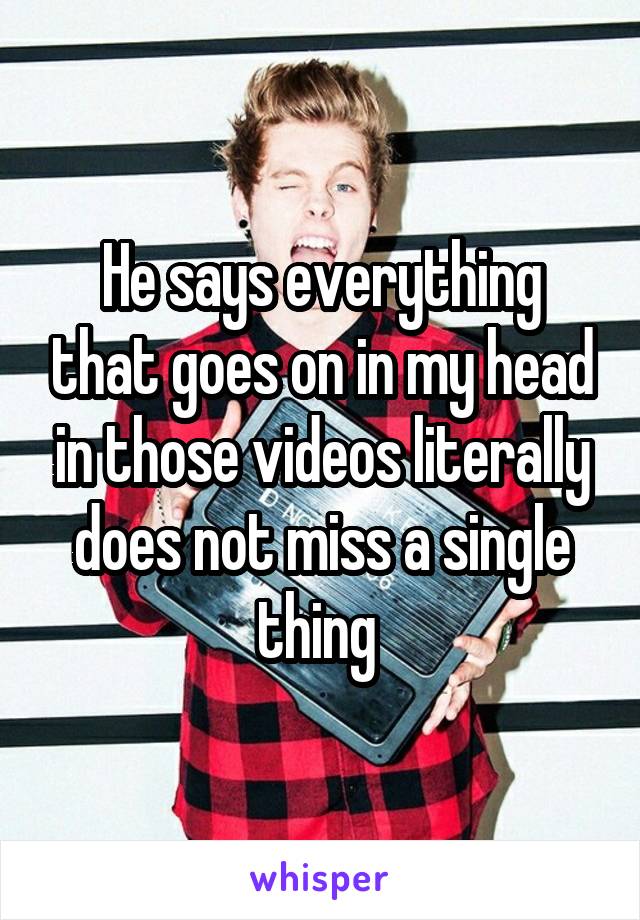 He says everything that goes on in my head in those videos literally does not miss a single thing 