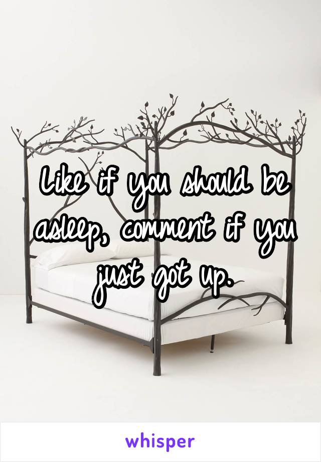 Like if you should be asleep, comment if you just got up.