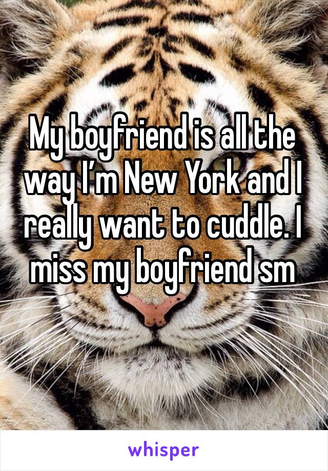 My boyfriend is all the way I’m New York and I really want to cuddle. I miss my boyfriend sm