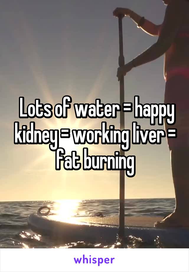  Lots of water = happy kidney = working liver = fat burning