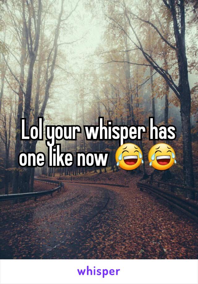 Lol your whisper has one like now 😂😂