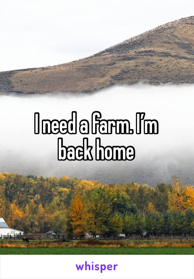 I need a farm. I’m back home 