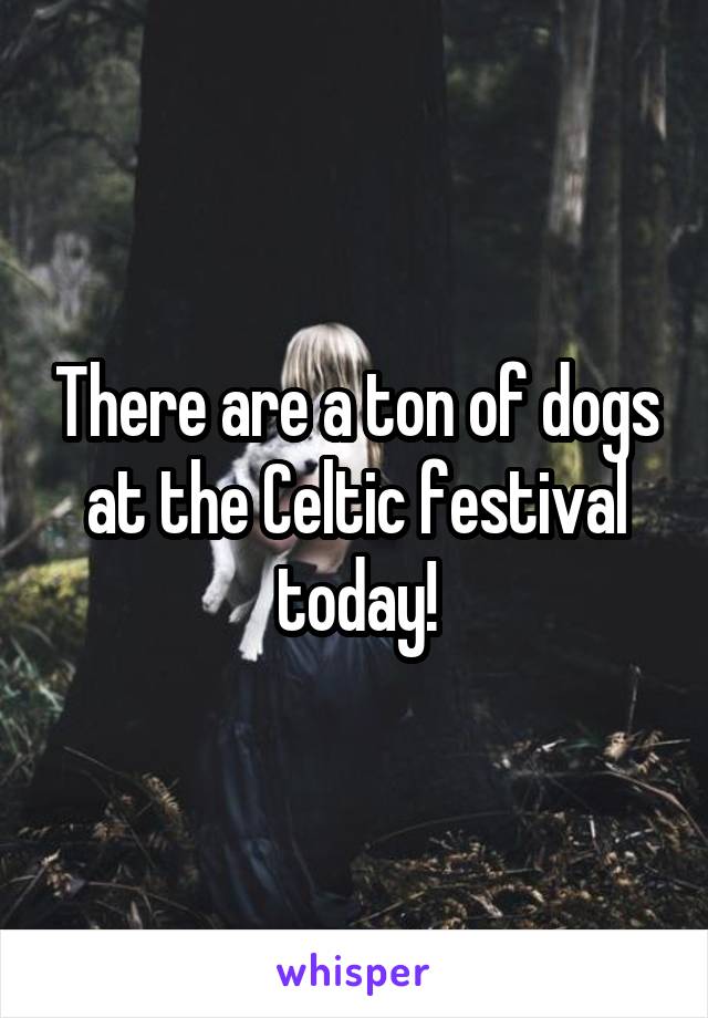 There are a ton of dogs at the Celtic festival today!