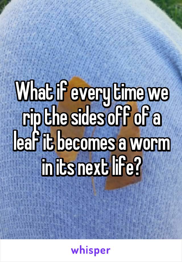 What if every time we rip the sides off of a leaf it becomes a worm in its next life?