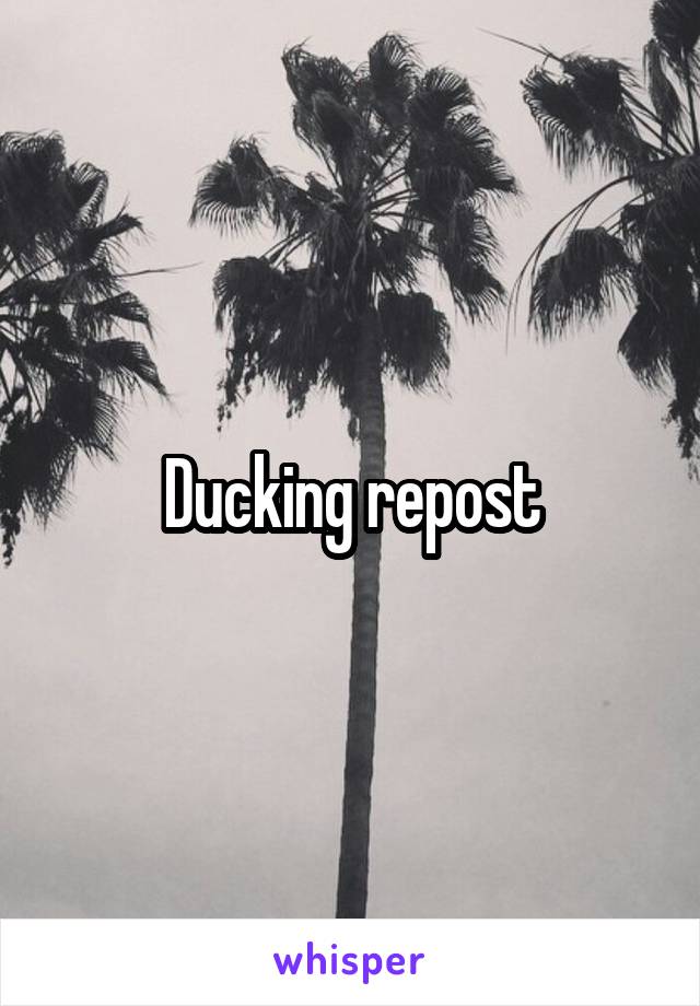 Ducking repost