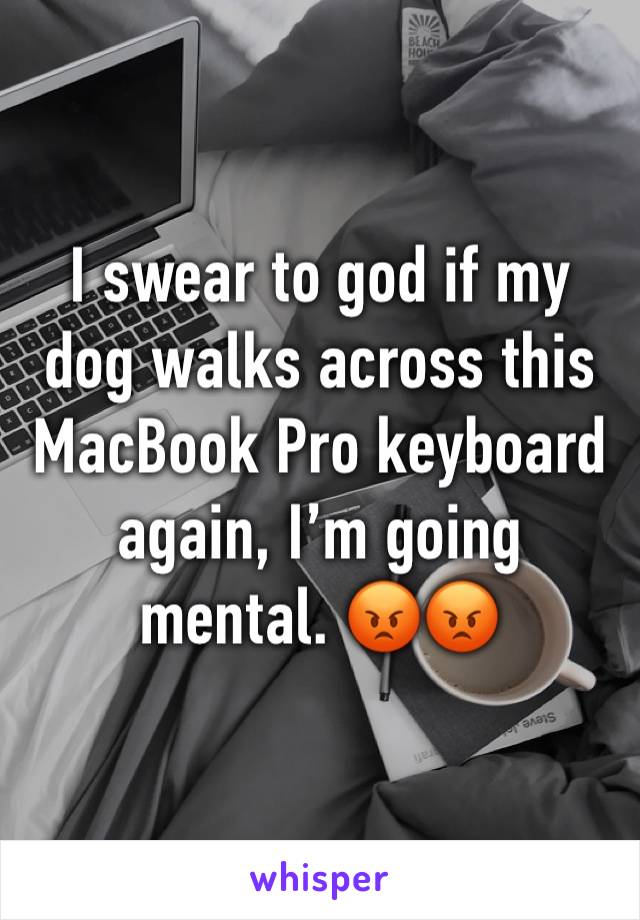 I swear to god if my dog walks across this MacBook Pro keyboard again, I’m going mental. 😡😡