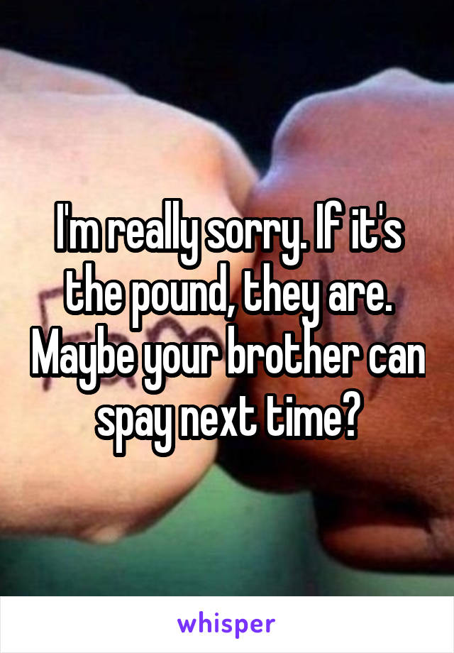 I'm really sorry. If it's the pound, they are. Maybe your brother can spay next time?