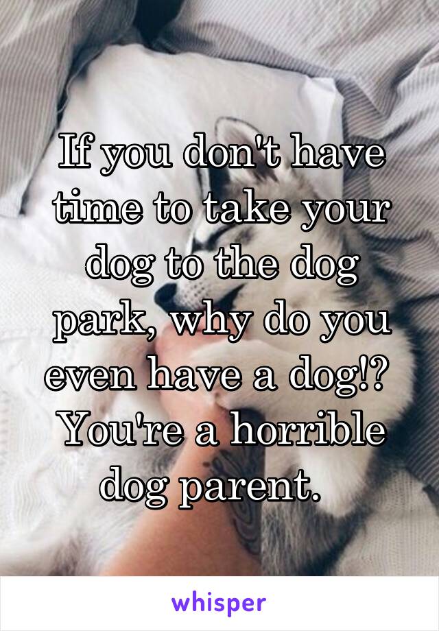 If you don't have time to take your dog to the dog park, why do you even have a dog!?  You're a horrible dog parent.  