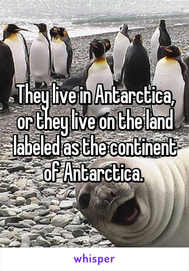 They live in Antarctica, or they live on the land labeled as the continent of Antarctica. 