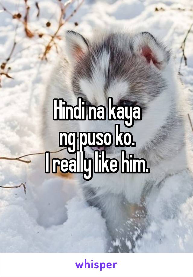 Hindi na kaya
ng puso ko.
I really like him.