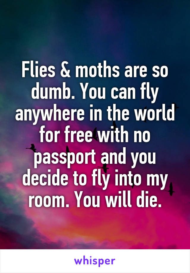 Flies & moths are so dumb. You can fly anywhere in the world for free with no passport and you decide to fly into my room. You will die.