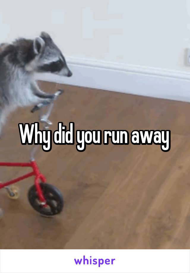 Why did you run away 