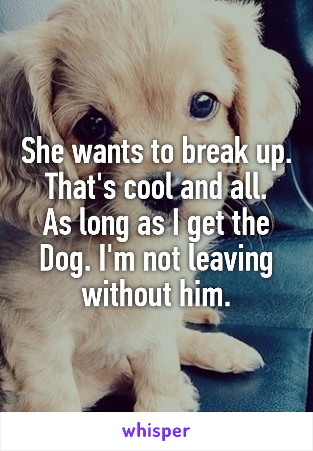 She wants to break up. That's cool and all.
As long as I get the Dog. I'm not leaving without him.