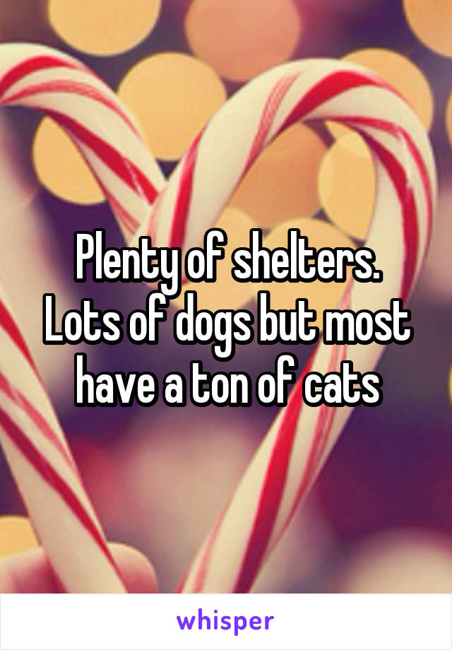 Plenty of shelters.
Lots of dogs but most have a ton of cats