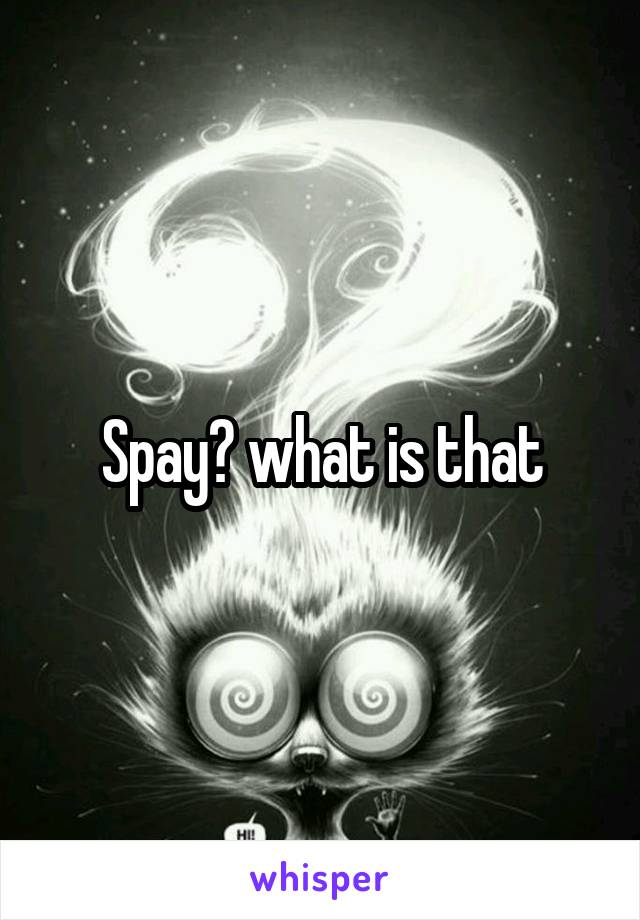 Spay? what is that