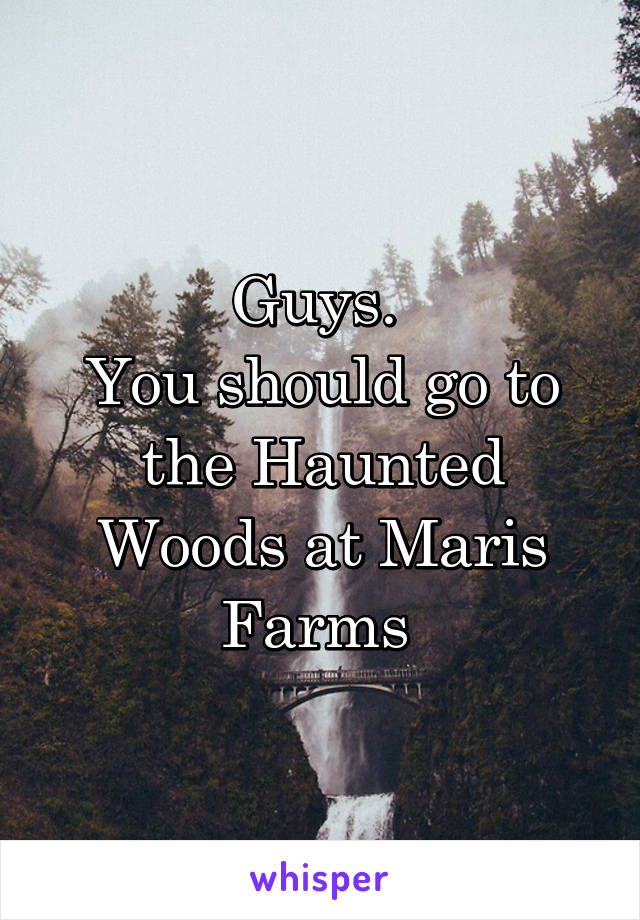 Guys. 
You should go to the Haunted Woods at Maris Farms 