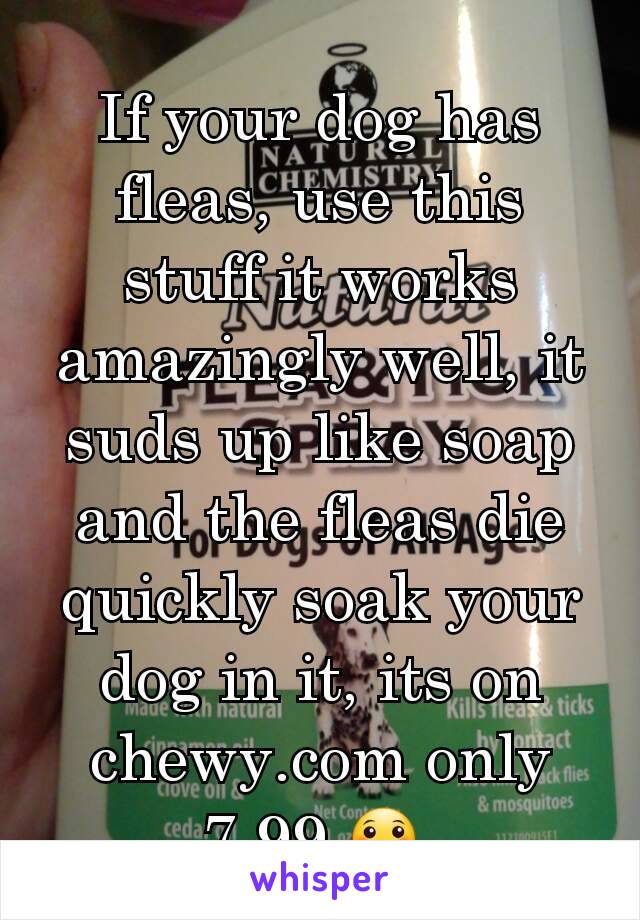 If your dog has fleas, use this stuff it works amazingly well, it suds up like soap and the fleas die quickly soak your dog in it, its on chewy.com only 7.99 😀 