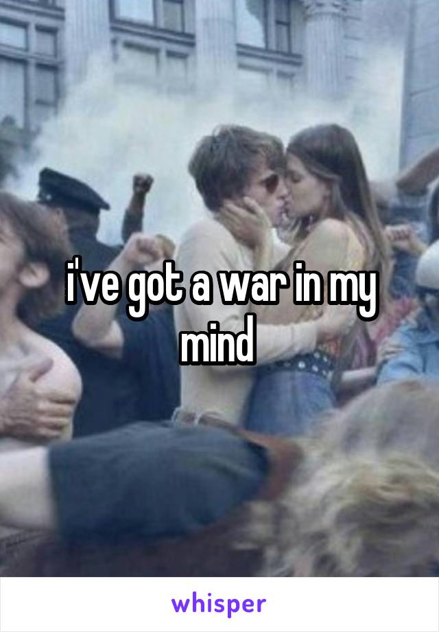 i've got a war in my mind 