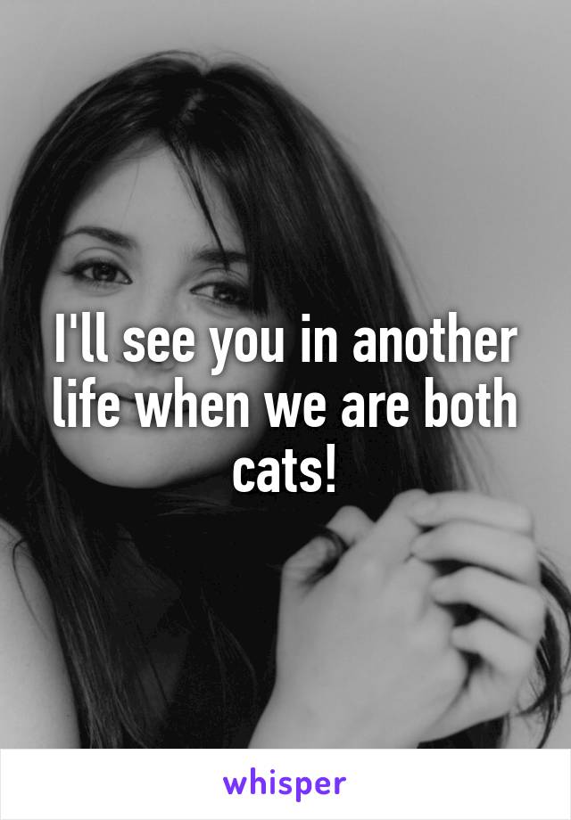 I'll see you in another life when we are both cats!