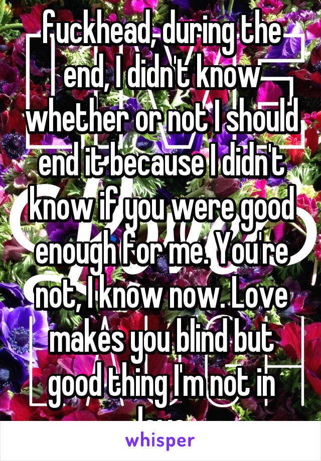 fuckhead, during the end, I didn't know whether or not I should end it because I didn't know if you were good enough for me. You're not, I know now. Love makes you blind but good thing I'm not in love