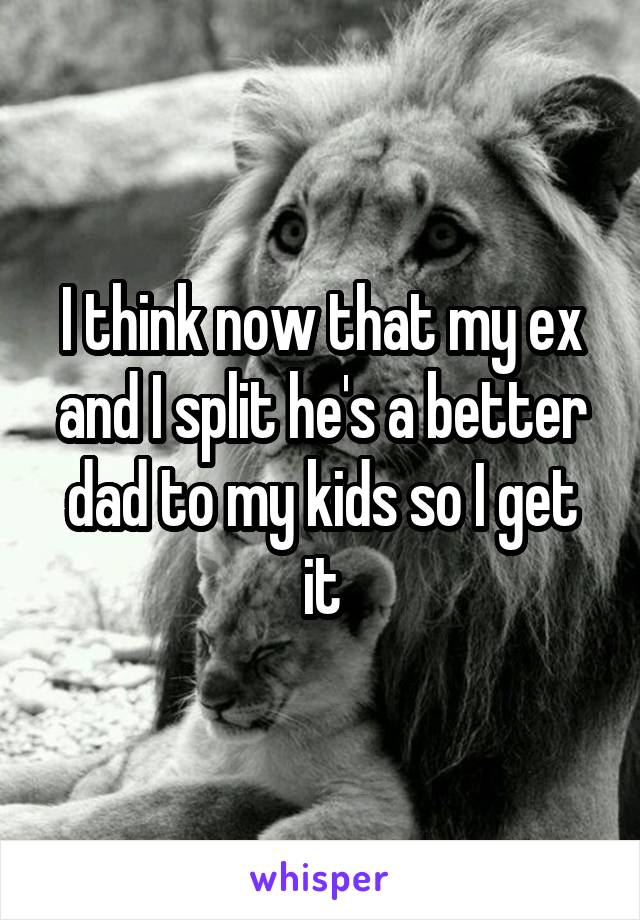 I think now that my ex and I split he's a better dad to my kids so I get it