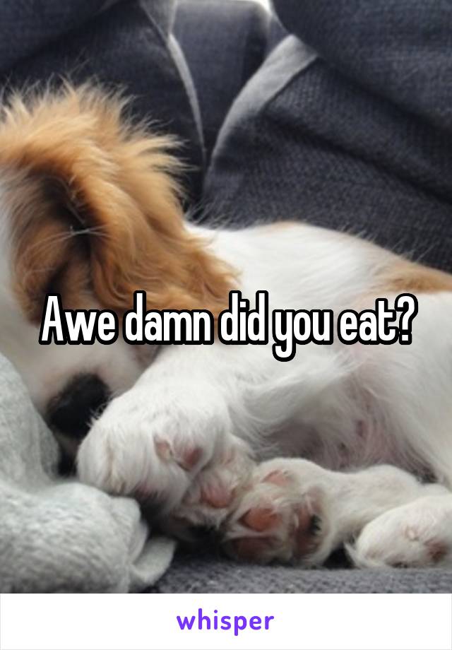 Awe damn did you eat?