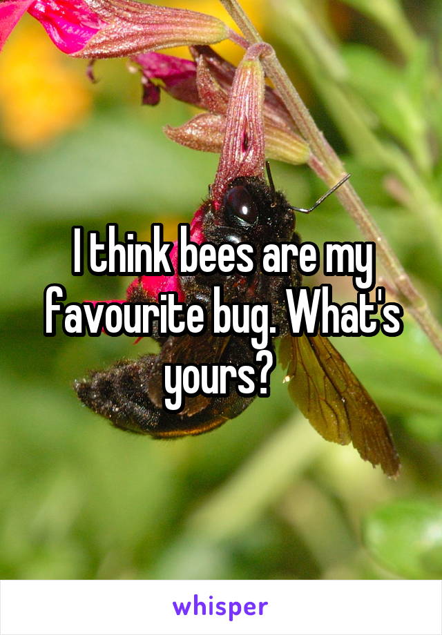 I think bees are my favourite bug. What's yours? 