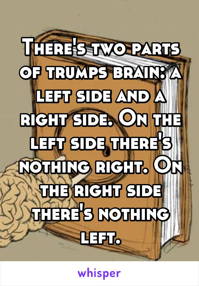 There's two parts of trumps brain: a left side and a right side. On the left side there's nothing right. On the right side there's nothing left.