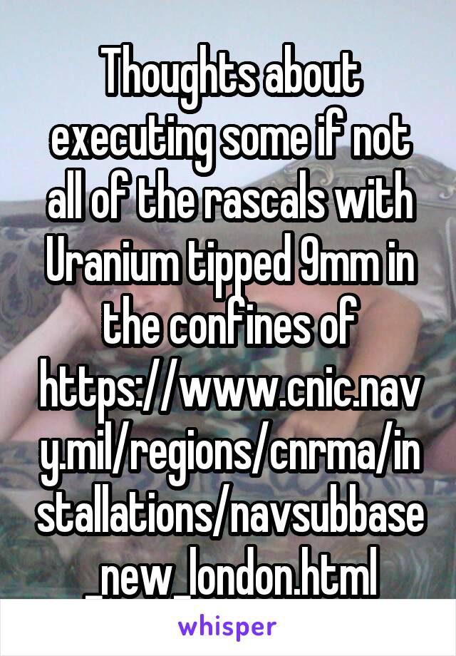 Thoughts about executing some if not all of the rascals with Uranium tipped 9mm in the confines of https://www.cnic.navy.mil/regions/cnrma/installations/navsubbase_new_london.html