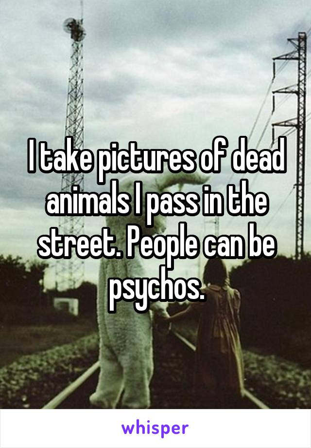 I take pictures of dead animals I pass in the street. People can be psychos.
