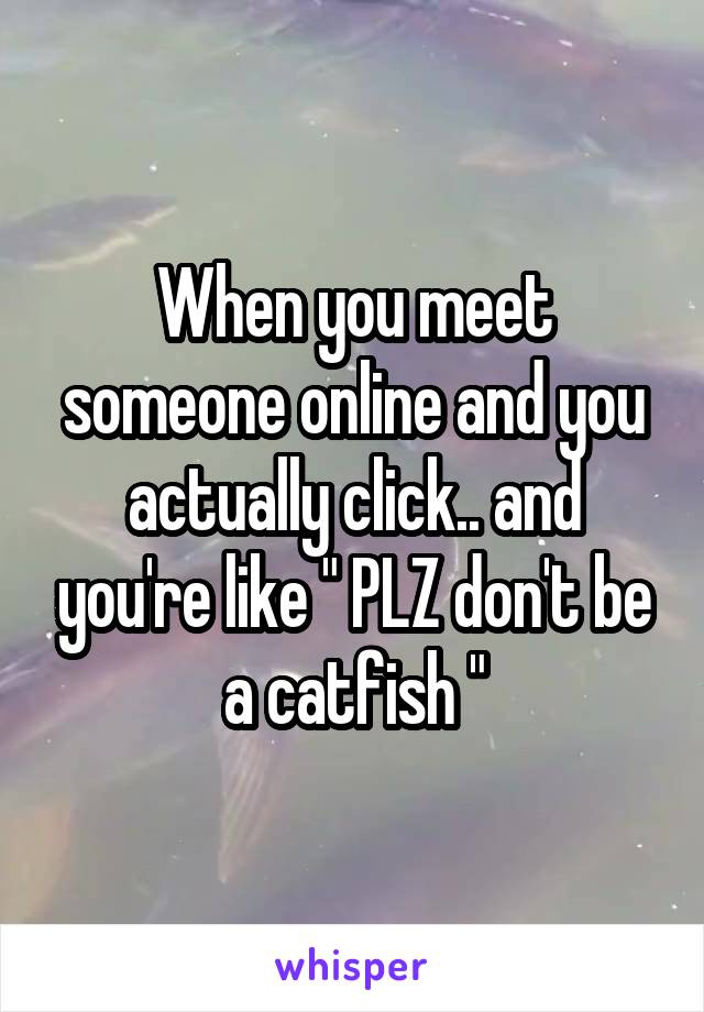 When you meet someone online and you actually click.. and you're like " PLZ don't be a catfish "