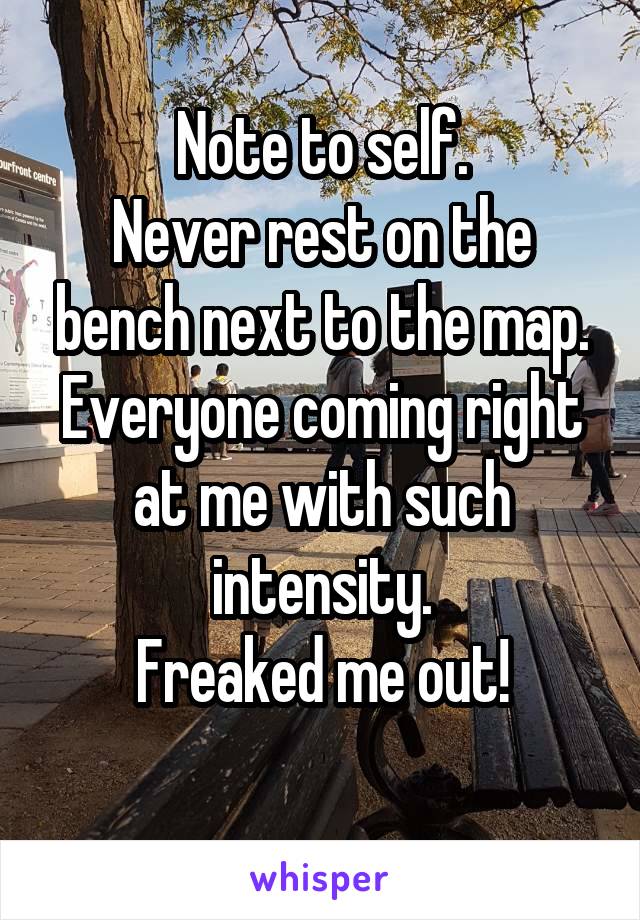 Note to self.
Never rest on the bench next to the map.
Everyone coming right at me with such intensity.
Freaked me out!
