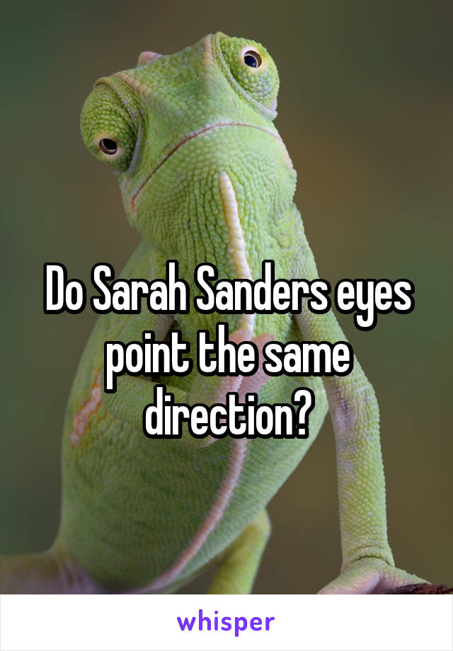 
Do Sarah Sanders eyes point the same direction?