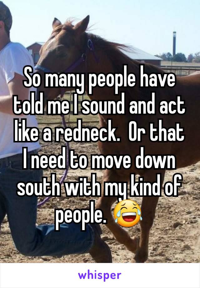 So many people have told me I sound and act like a redneck.  Or that I need to move down south with my kind of people. 😂